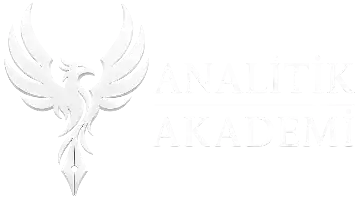Analitik Akademi Logo